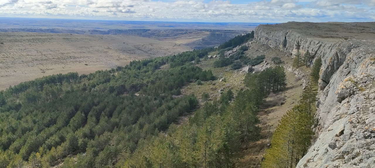 WhatsApp Image 2026-02-10 at 14.47.48